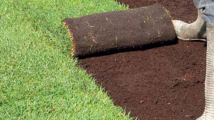 Gardens over septic tank soakaways can be beneficial