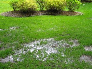 flooded ground above septic system