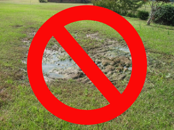 septic tank mistakes